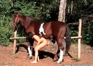Horny-ass babe undressing to seduce a horse