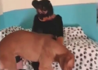 Seductive zoophile enjoying hardcore fuck