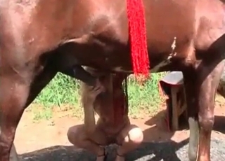 Animal gets a nice sloppy blowjob