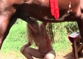 Animal gets a nice sloppy blowjob