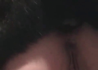 Furious beast enjoying this chick's tight pussy