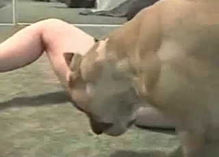 Tight pussy cutie fucked by a tiny dog