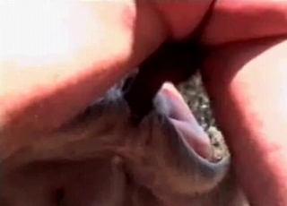 Big-dicked dude fucking a sexy puppy