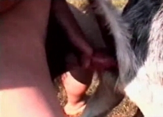 Big-dicked dude fucking a sexy puppy