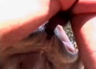 Big-dicked dude fucking a sexy puppy