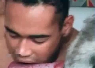 Hung horse gets a blowjob from a gay dude
