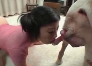 Bestiality banging with a sweet dog