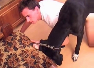 Dude is horny, he fucks his dog's ass