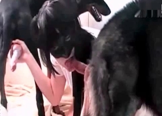 Slutty babe fucks her sexy dogs on cam