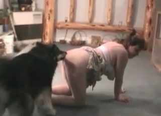 Pudgy chick enjoying bestiality in the bedroom