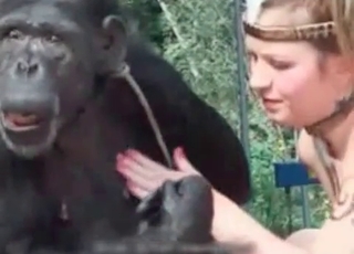 Monkey loves sexy human feet