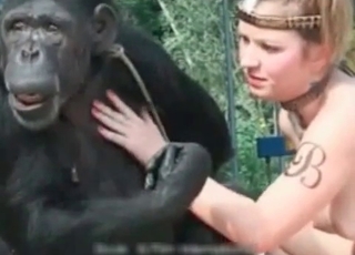 Monkey loves sexy human feet