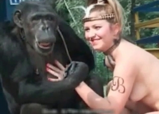 Monkey loves sexy human feet