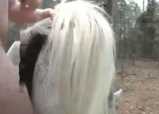 Chubby zoophile cutie fucks a stallion