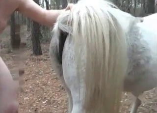 Chubby zoophile cutie fucks a stallion