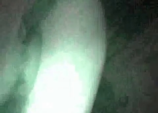 This video is all about horse dick