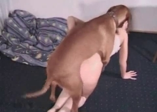 Cutesy doggo fucks a short-haired blondie