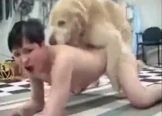 Twisted dog fucking a tight human pussy