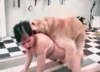 Twisted dog fucking a tight human pussy