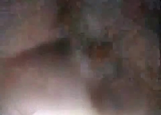Twisted dog fucking a tight human pussy