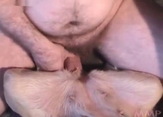 Cute dog seduced by a zoophilic bitch