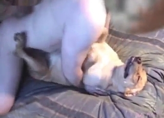 Cute dog seduced by a zoophilic bitch