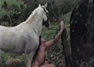 Horse gets a nice blowjob from a tranny