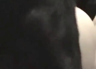 Pretty pussy destroyed by a big black dog cock