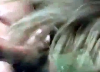 Horse gets to taste human jizz