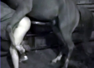 Hardcore banging with a hung black horse