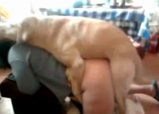 Doggy style fucking with a shepherd