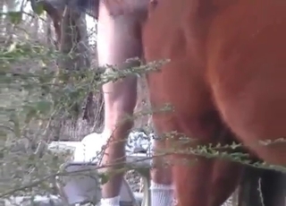 Kinky pets that love farm fucking