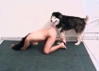 Sexy husky fucking a tranny on cam