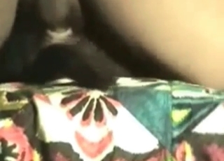 Black animal gets it up the ass