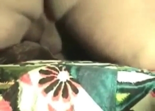 Black animal gets it up the ass
