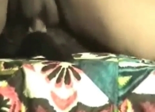 Black animal gets it up the ass