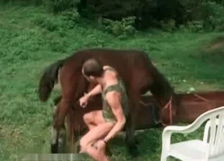 Hardcore horse enjoying bestiality