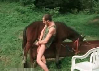 Hardcore horse enjoying bestiality