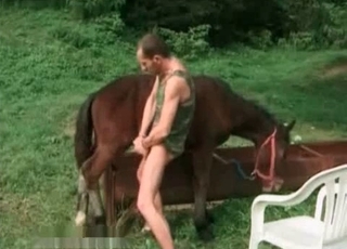 Hardcore horse enjoying bestiality