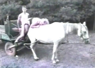 Twisted couple fucks on top of a horse
