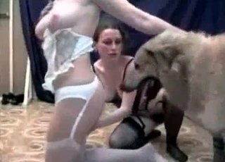 Dark-haired chick fucks a dog on cam