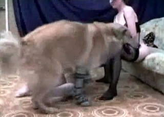 Dark-haired chick fucks a dog on cam