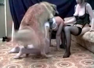 Dark-haired chick fucks a dog on cam