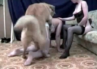 Dark-haired chick fucks a dog on cam