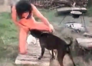 Animal dick gets serviced on cam
