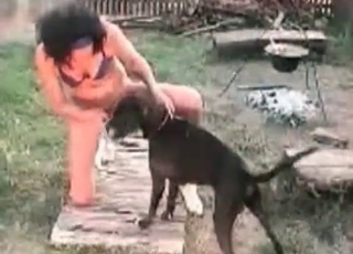 Animal dick gets serviced on cam