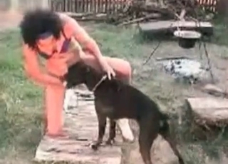 Animal dick gets serviced on cam