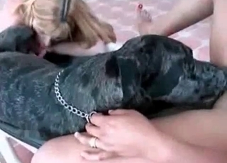 Twisted dog enjoying human pussy