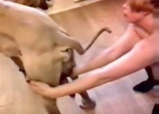 Hardcore sex session with a naughty blonde
