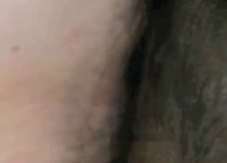 Kinky babe enjoying a horse cock